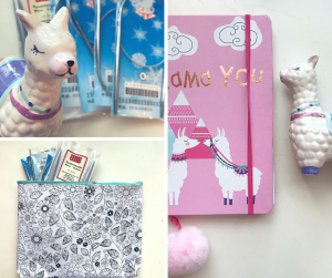 present for MASTER CRAFTER notebook needle case llama